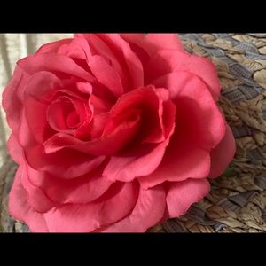 Meet your Posher, Rosa Jean